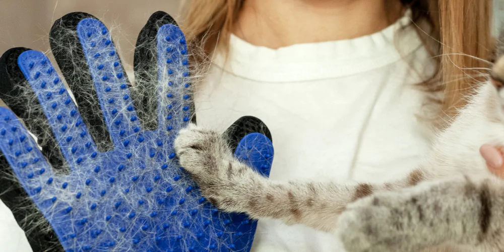 A picture of a woman grooming a cat