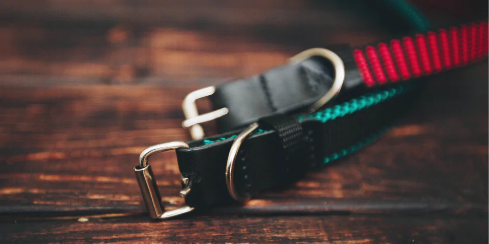 A picture of two dog collars laid out on a table