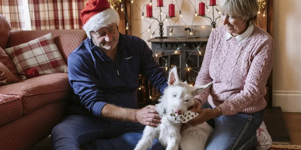 A picture of Pickle the rescue dog with his family