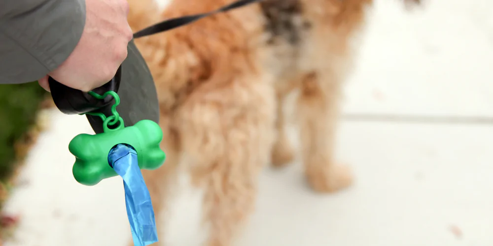 A picture of a man walking his dog with a dog poo bag holder attached to the lead