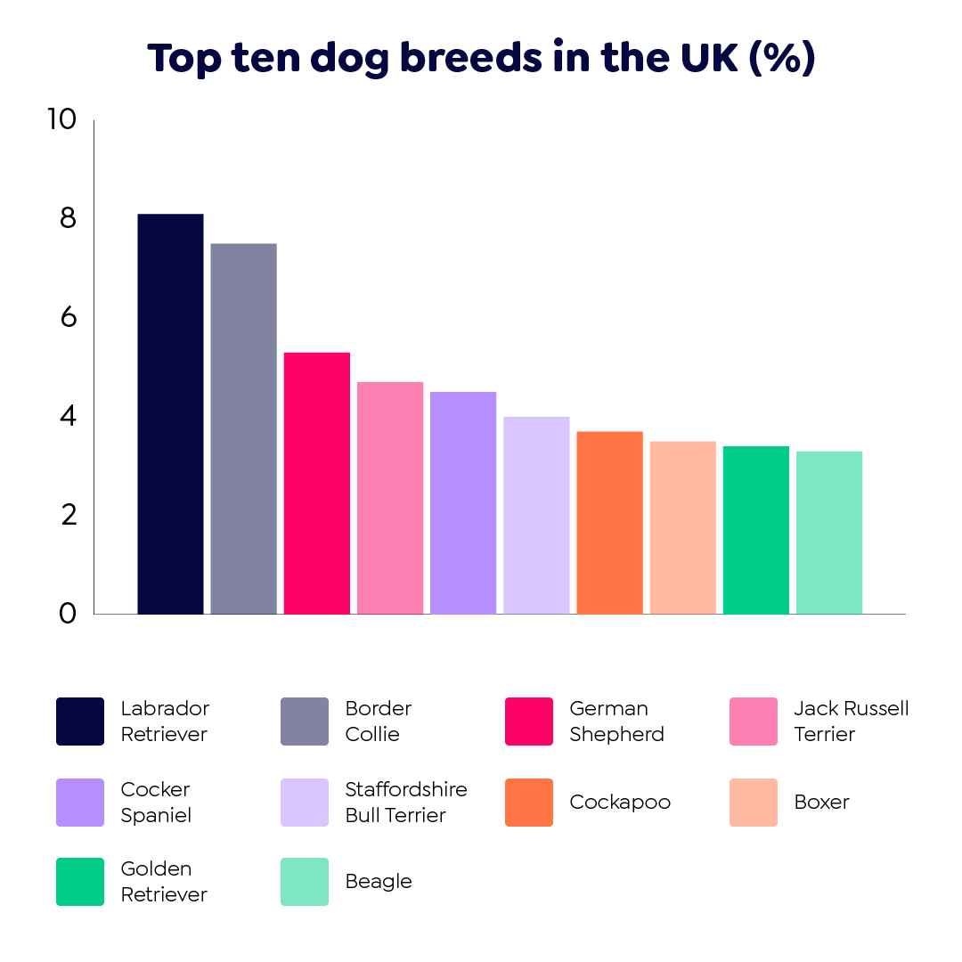 Graph showing the top ten dog breeds in the UK